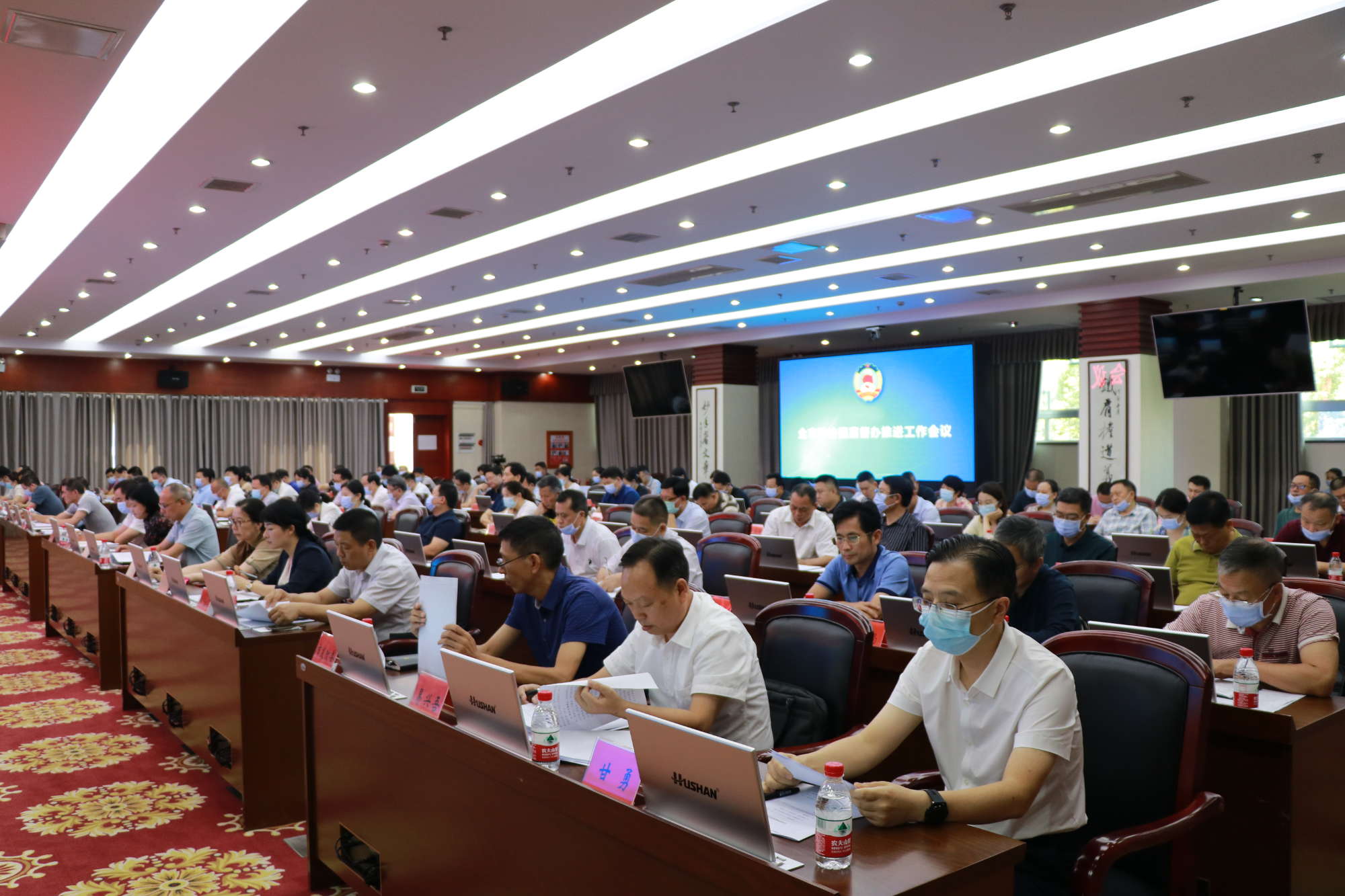 gaiIMG_7025.JPG