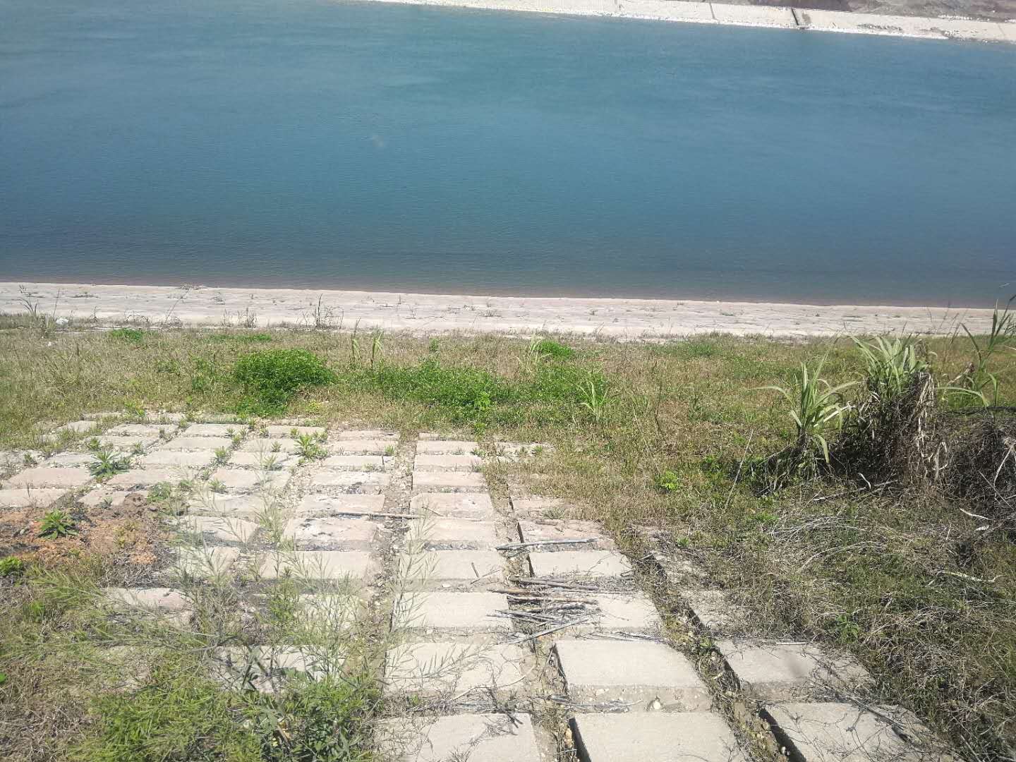clip_image005.jpg