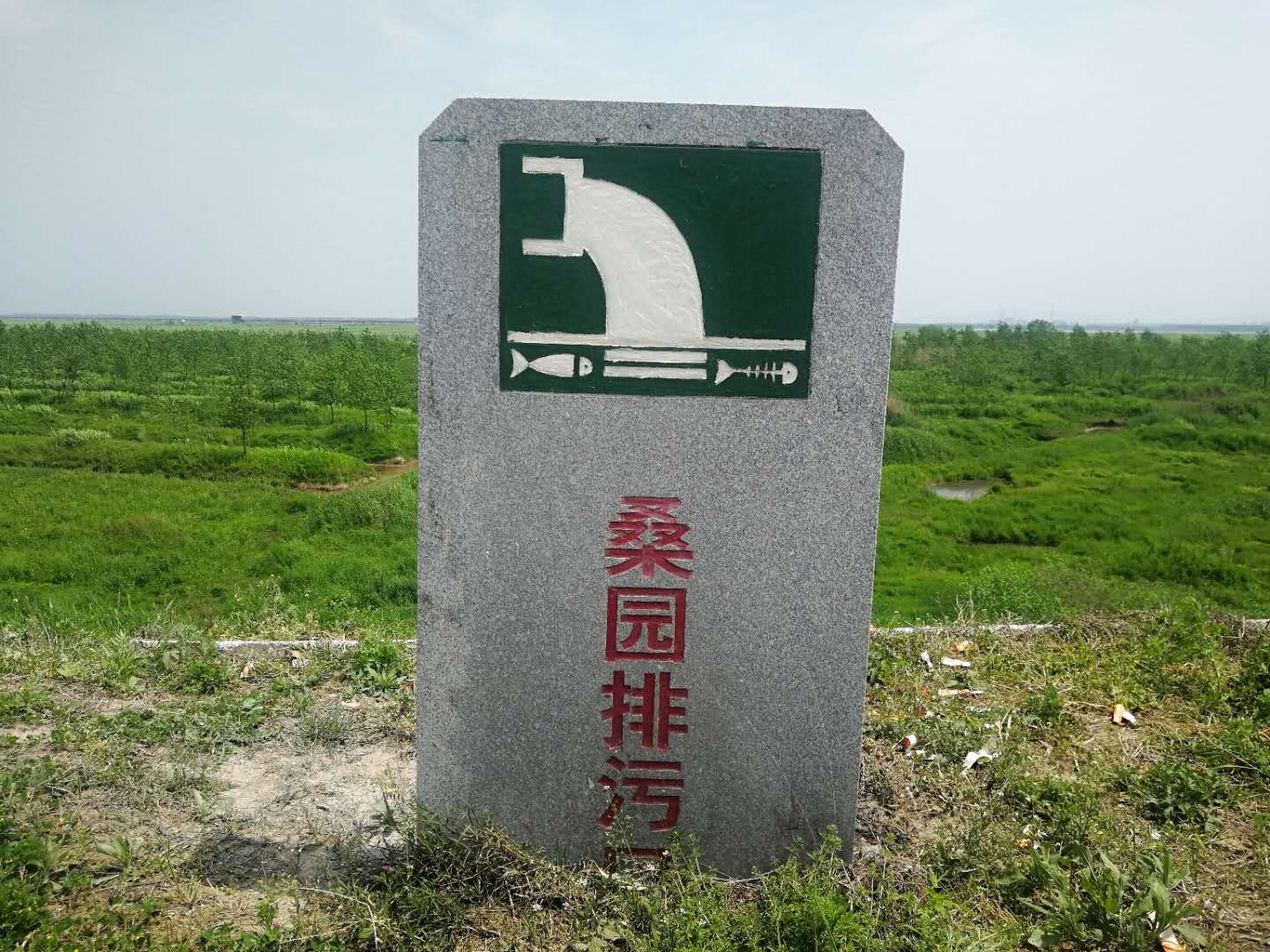 clip_image005.jpg