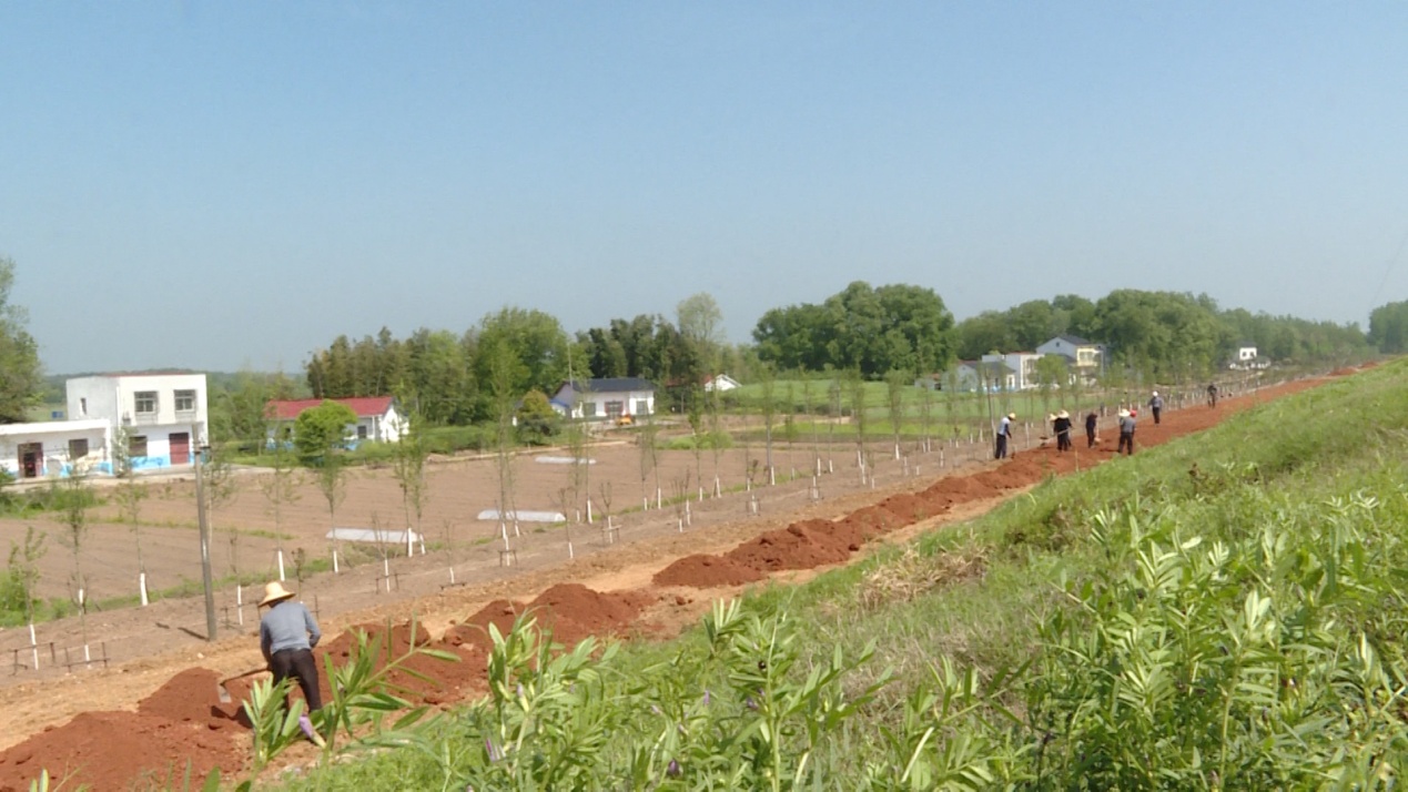 clip_image005.jpg